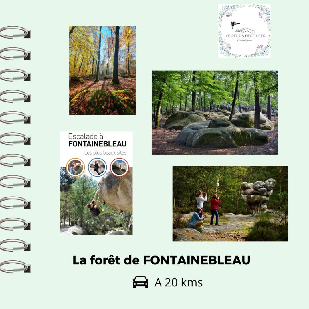 Le Relais Des Clefs - Au Calme Du Gatinais - Escapade A Deux - Terrasse Privee - Wifi - Offre Romantique Sur Demande Valpuiseaux Luaran gambar